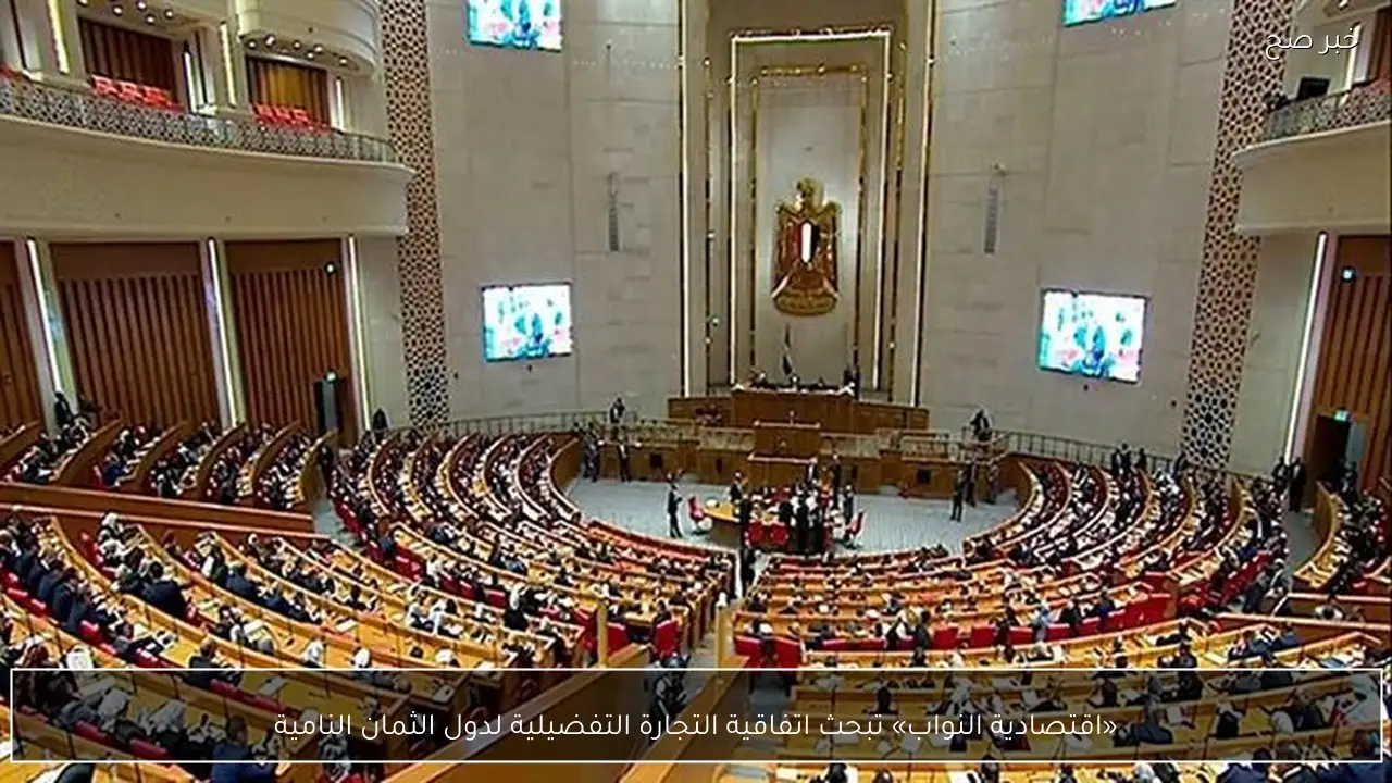 «اقتصادية النواب» تبحث اتفاقية التجارة التفضيلية لدول الثمان النامية