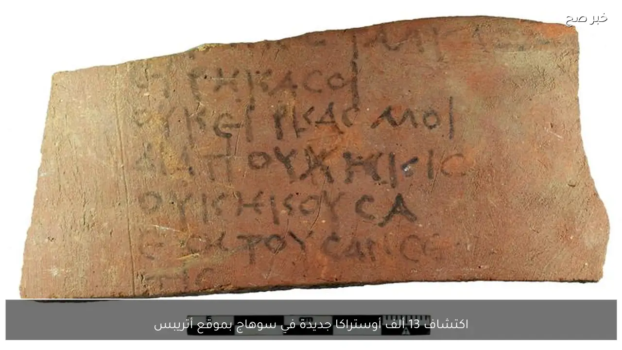 اكتشاف 13 ألف أوستراكا جديدة في سوهاج بموقع أتريبس