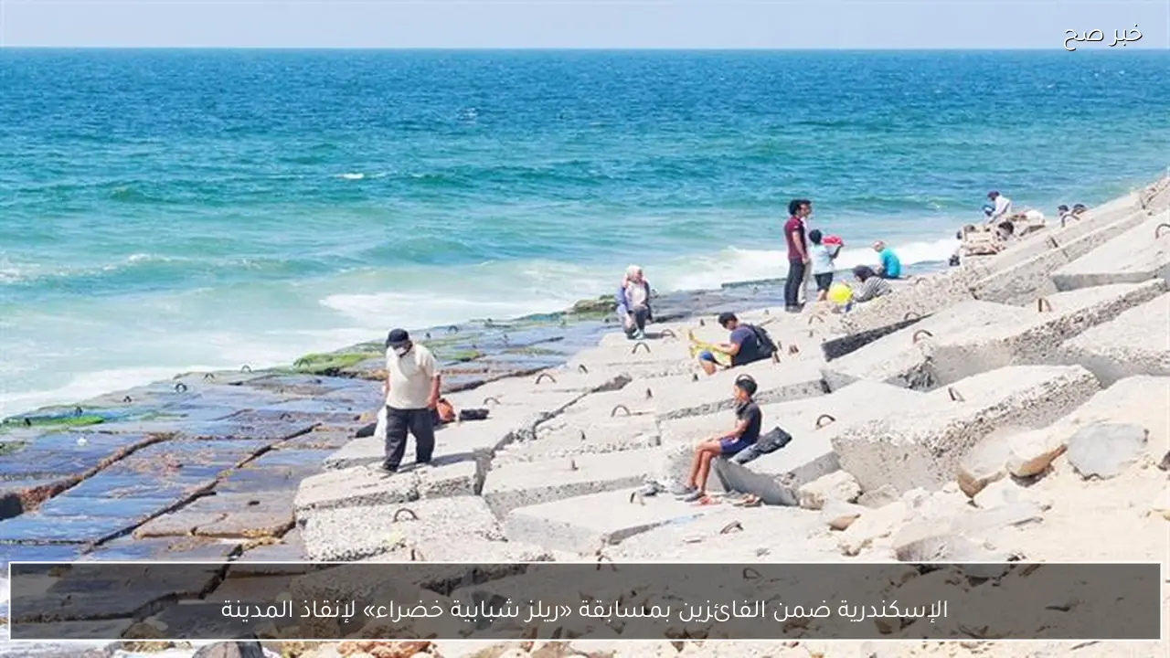 الإسكندرية ضمن الفائزين بمسابقة «ريلز شبابية خضراء» لإنقاذ المدينة