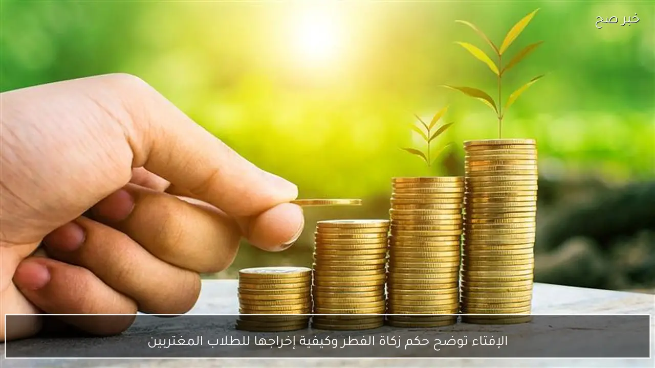 الإفتاء توضح حكم زكاة الفطر وكيفية إخراجها للطلاب المغتربين