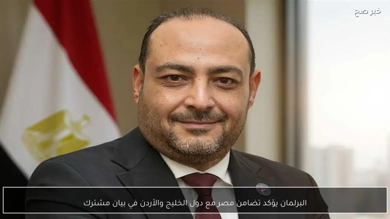 البرلمان يؤكد تضامن مصر مع دول الخليج والأردن في بيان مشترك