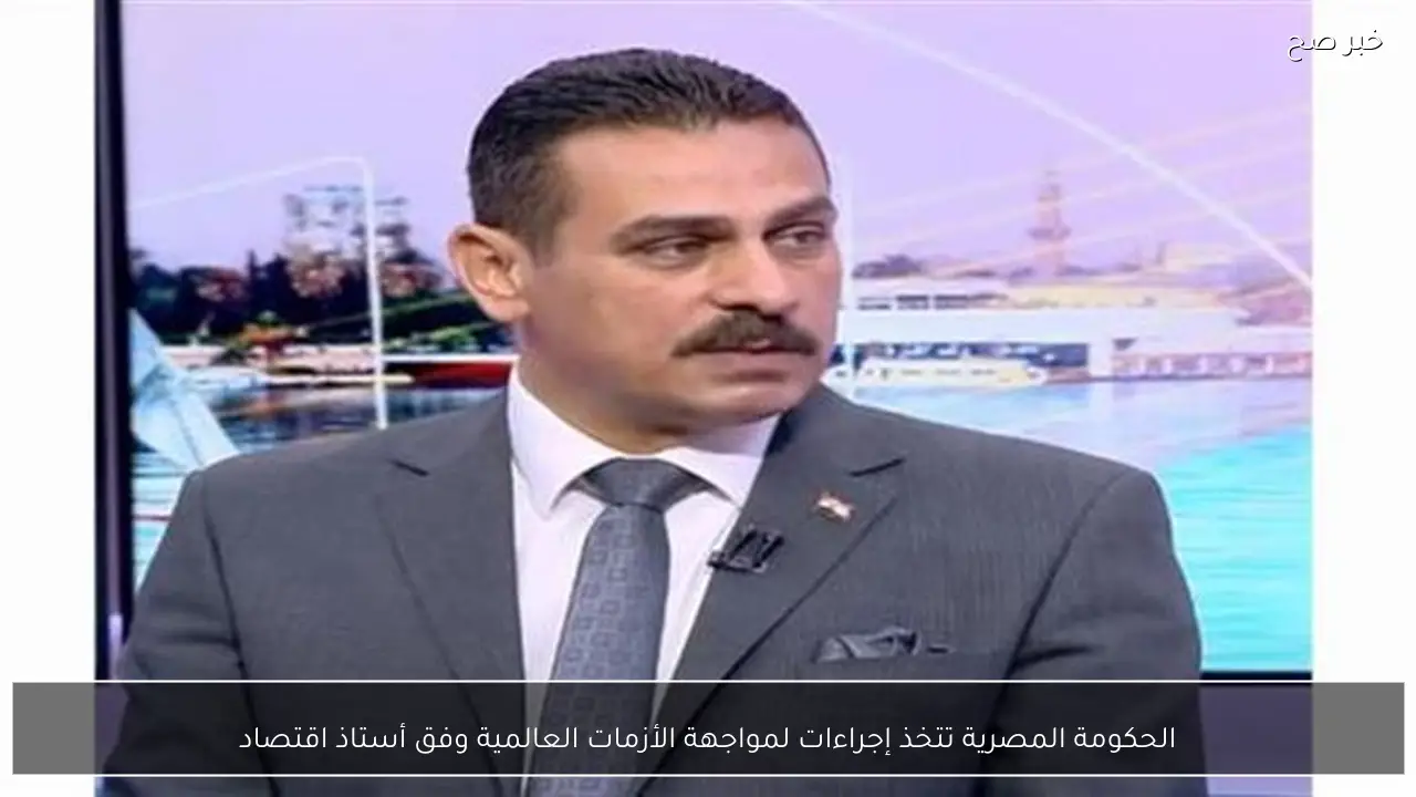 الحكومة المصرية تتخذ إجراءات لمواجهة الأزمات العالمية وفق أستاذ اقتصاد