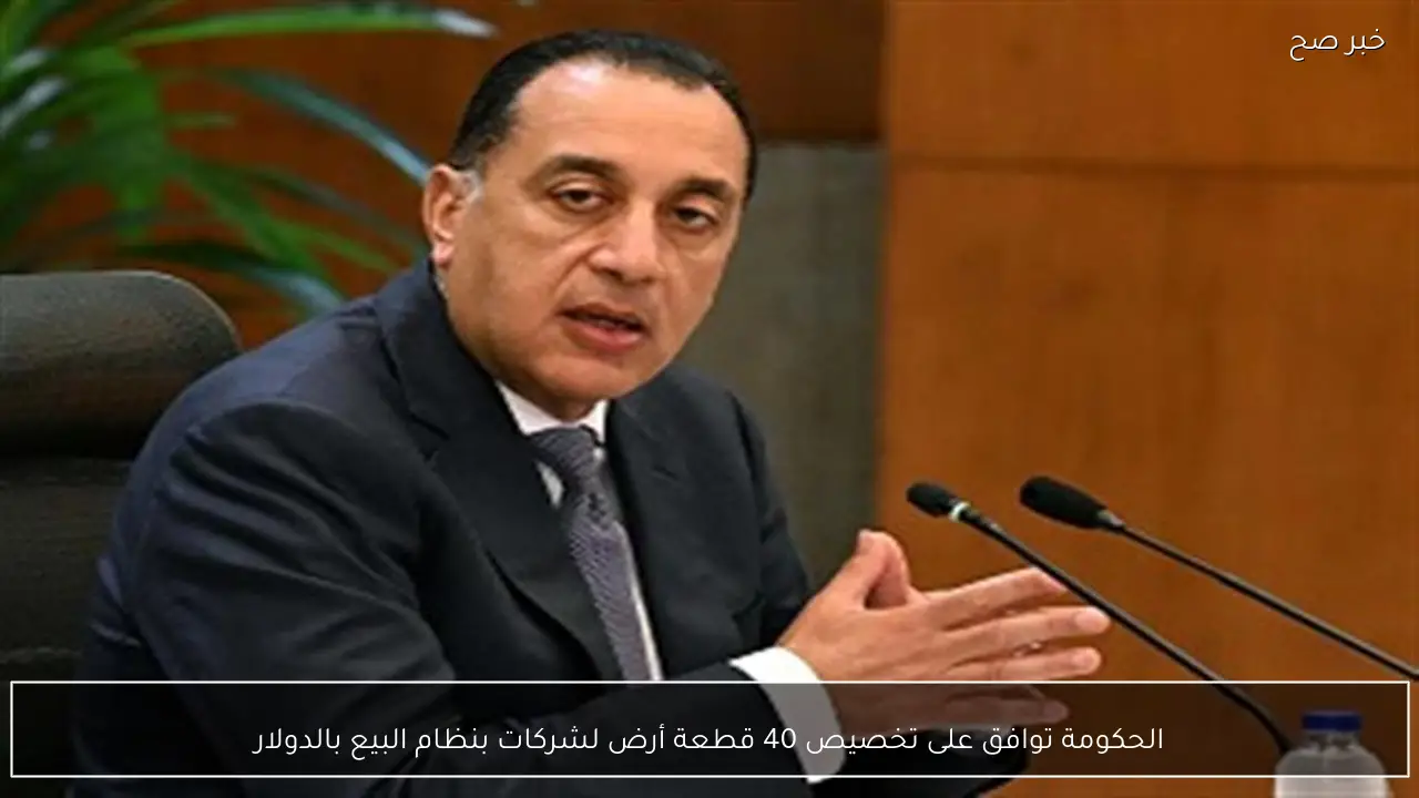 الحكومة توافق على تخصيص 40 قطعة أرض لشركات بنظام البيع بالدولار