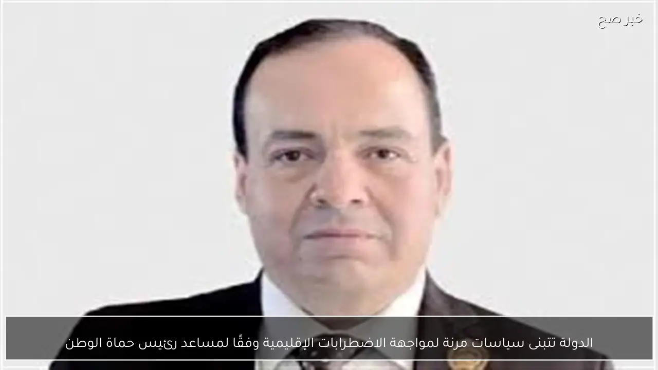 الدولة تتبنى سياسات مرنة لمواجهة الاضطرابات الإقليمية وفقًا لمساعد رئيس حماة الوطن