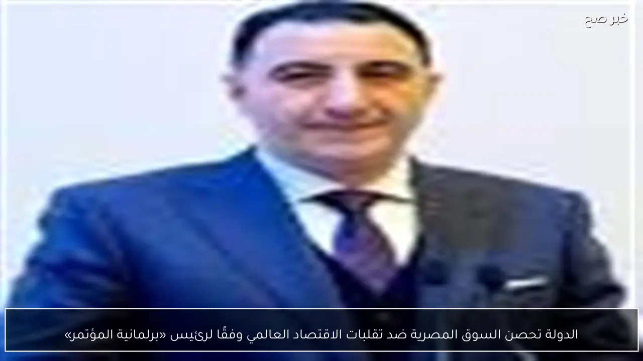 الدولة تحصن السوق المصرية ضد تقلبات الاقتصاد العالمي وفقًا لرئيس «برلمانية المؤتمر»