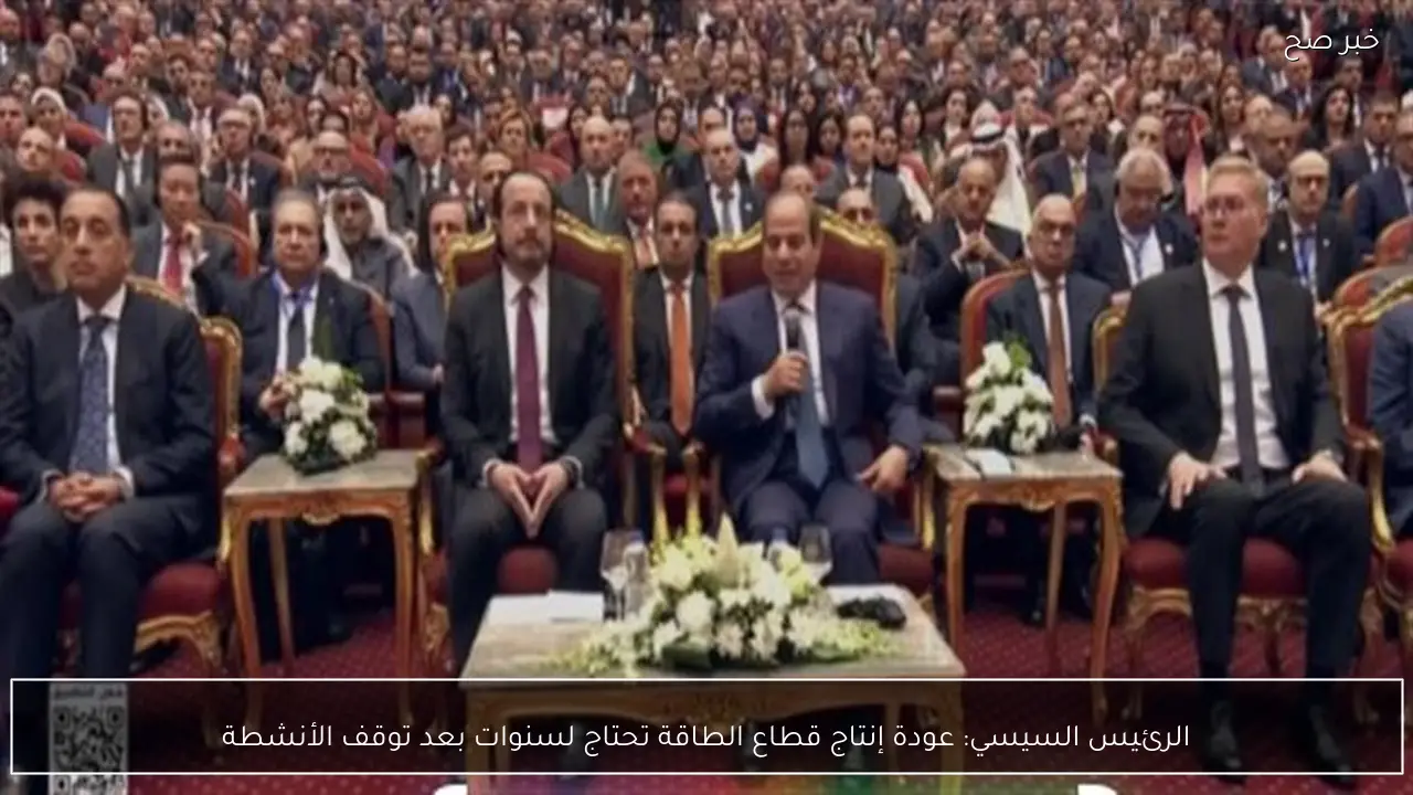 الرئيس السيسي: عودة إنتاج قطاع الطاقة تحتاج لسنوات بعد توقف الأنشطة