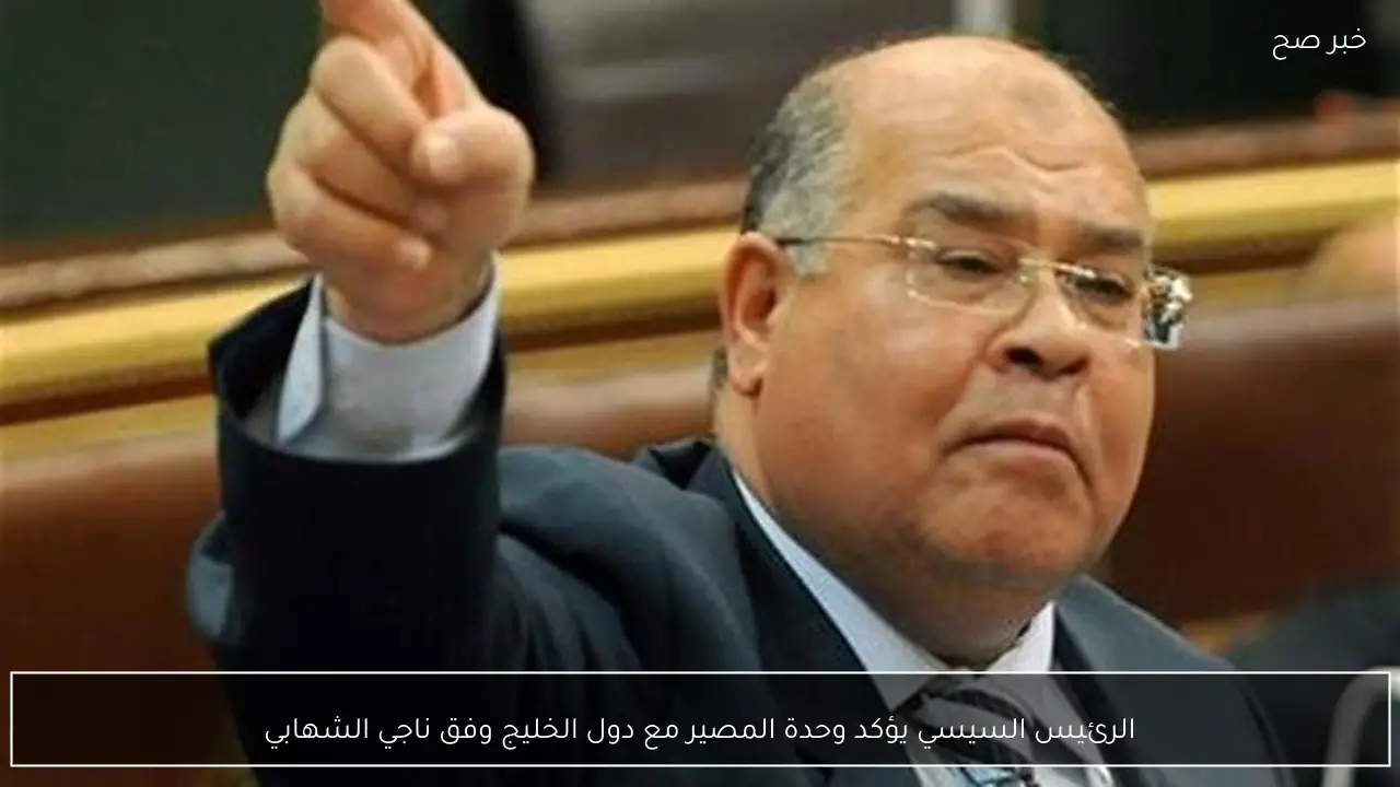 الرئيس السيسي يؤكد وحدة المصير مع دول الخليج وفق ناجي الشهابي