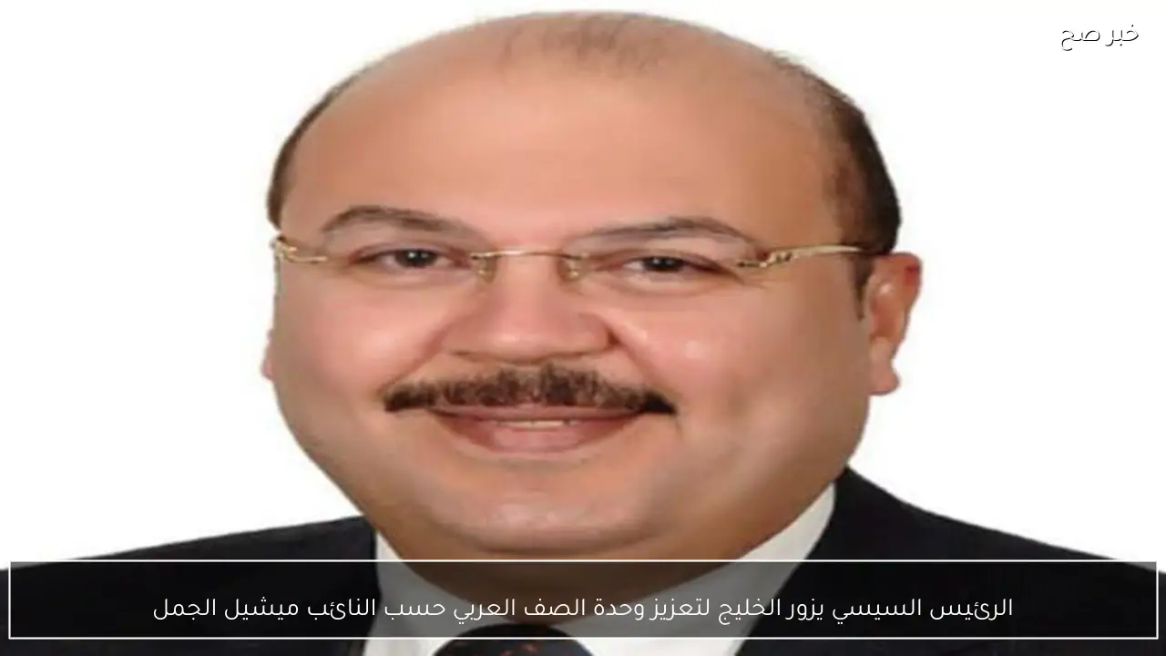 الرئيس السيسي يزور الخليج لتعزيز وحدة الصف العربي حسب النائب ميشيل الجمل