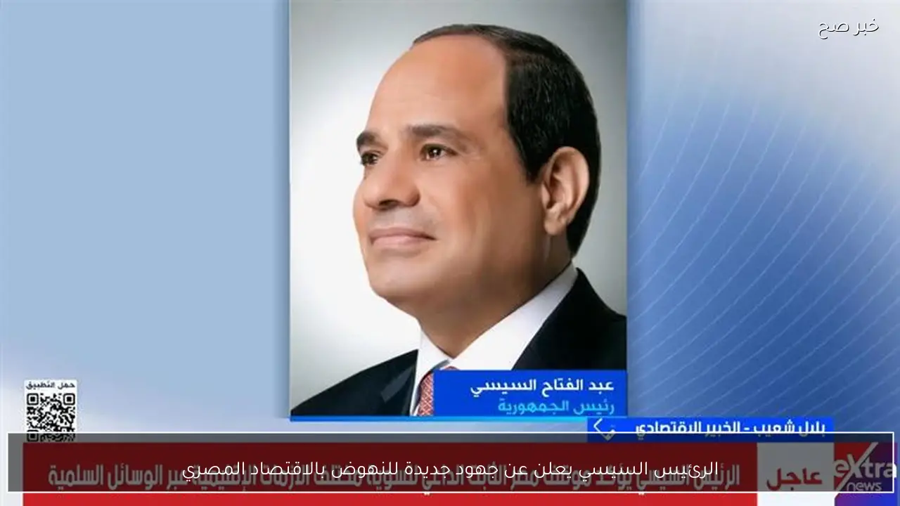 الرئيس السيسي يعلن عن جهود جديدة للنهوض بالاقتصاد المصري