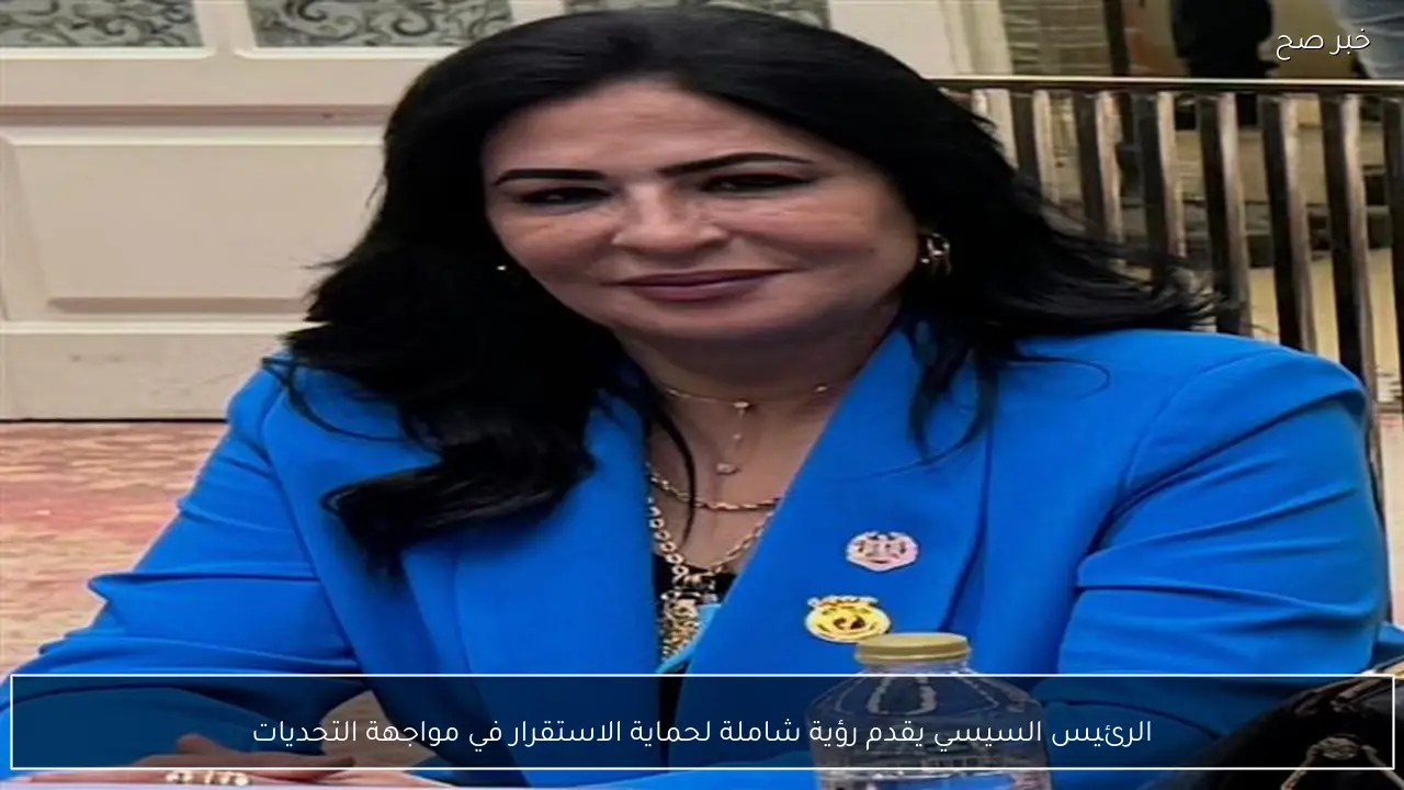 الرئيس السيسي يقدم رؤية شاملة لحماية الاستقرار في مواجهة التحديات