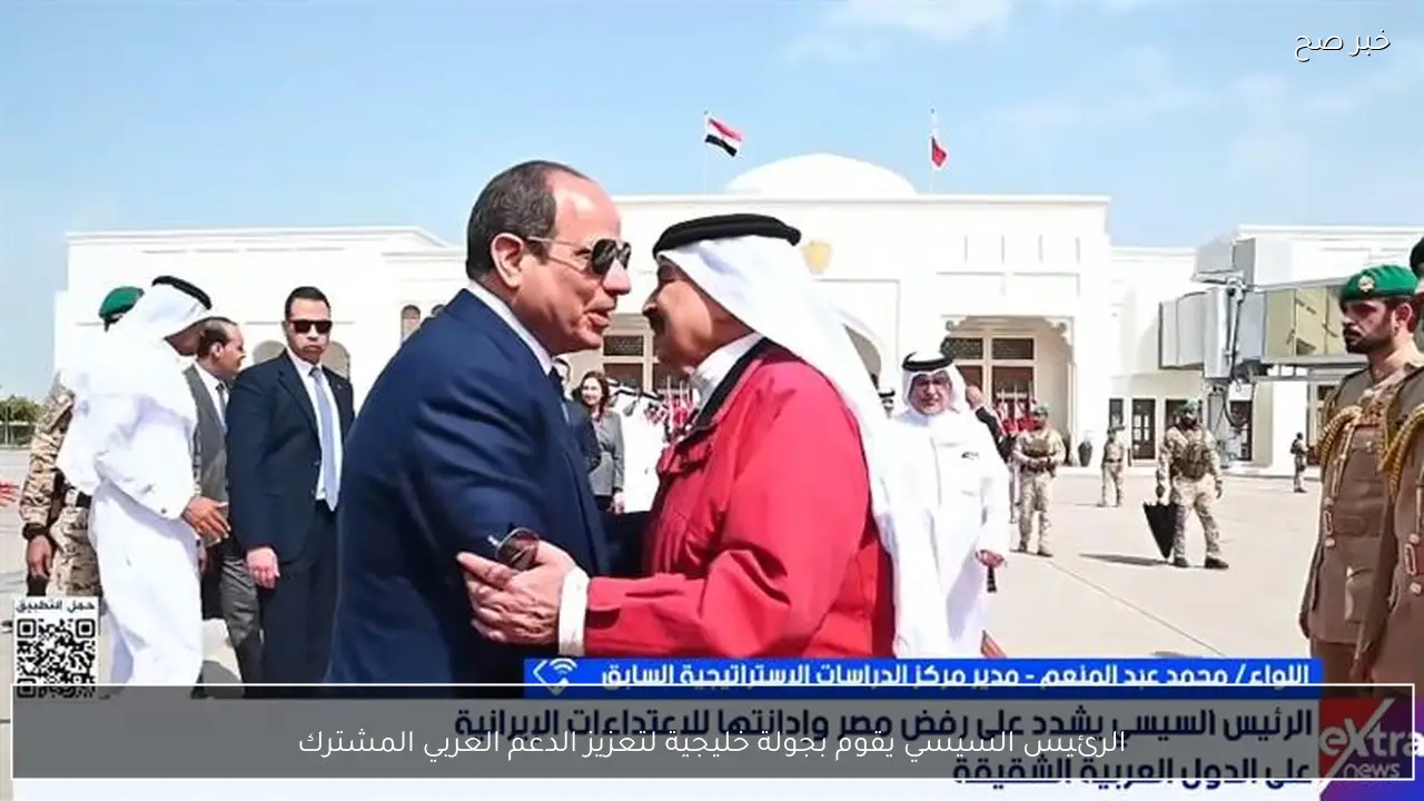 الرئيس السيسي يقوم بجولة خليجية لتعزيز الدعم العربي المشترك