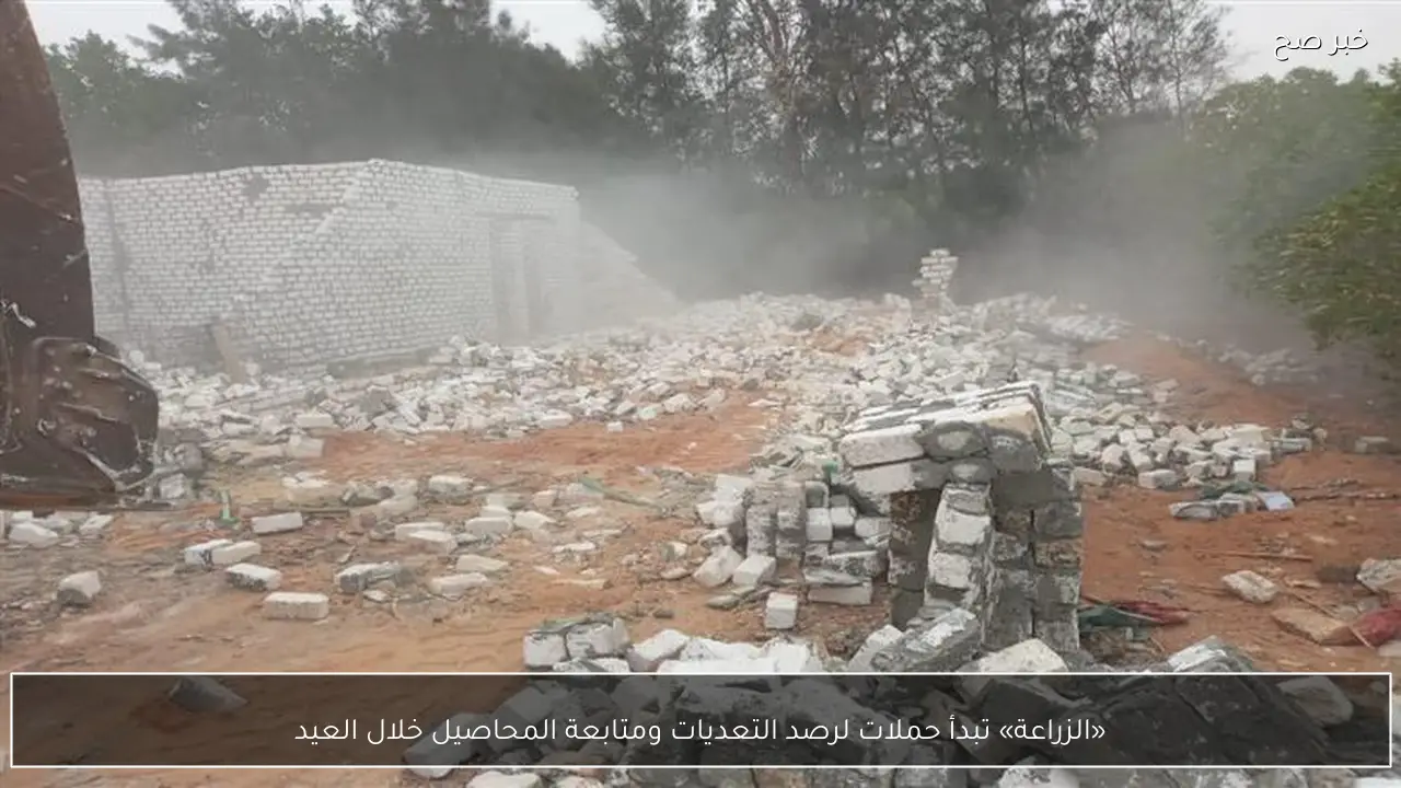 «الزراعة» تبدأ حملات لرصد التعديات ومتابعة المحاصيل خلال العيد