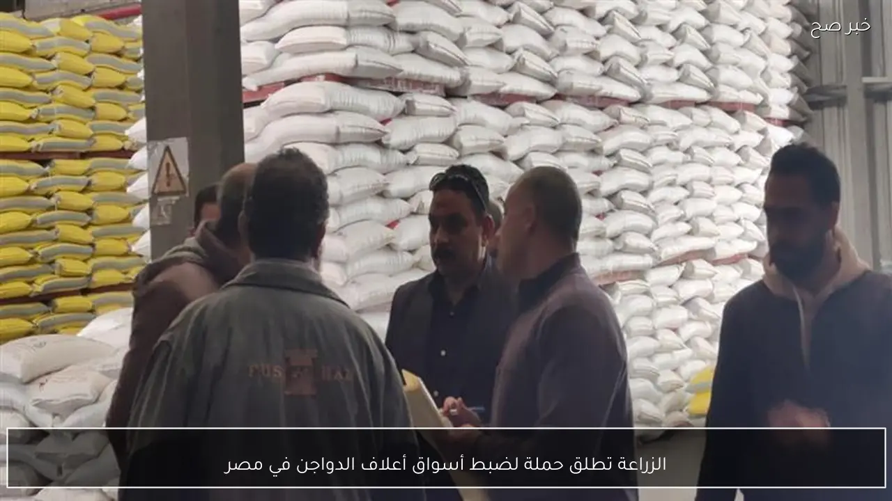 الزراعة تطلق حملة لضبط أسواق أعلاف الدواجن في مصر