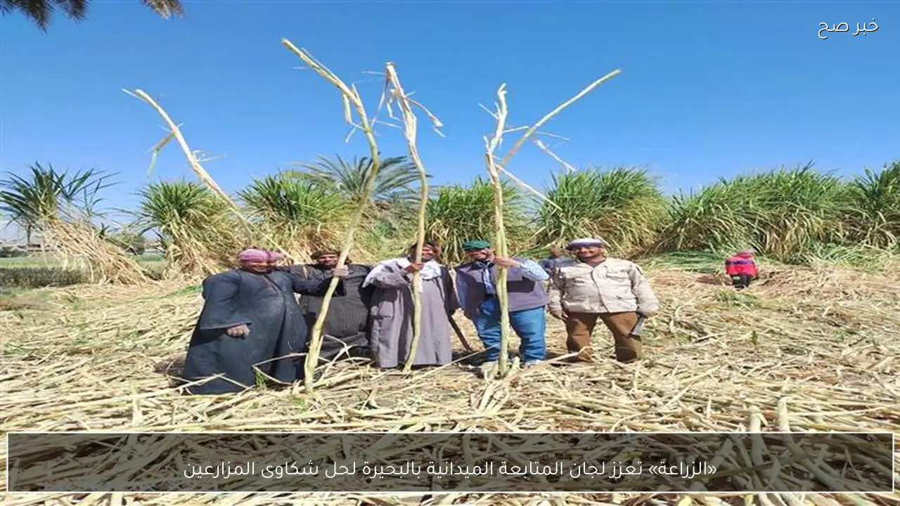 «الزراعة» تعزز لجان المتابعة الميدانية بالبحيرة لحل شكاوى المزارعين