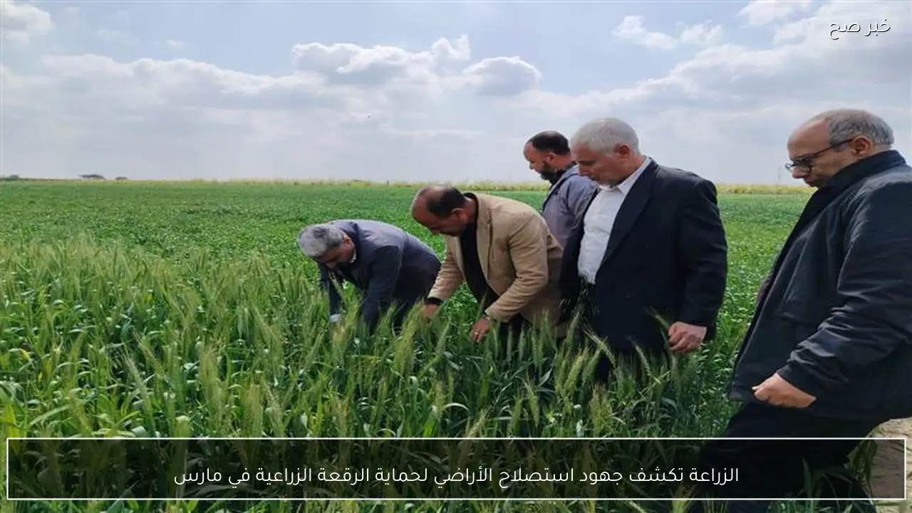 الزراعة تكشف جهود استصلاح الأراضي لحماية الرقعة الزراعية في مارس