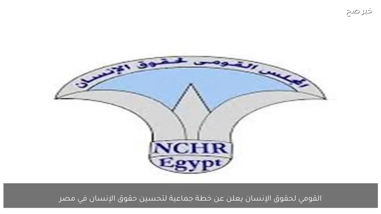 القومي لحقوق الإنسان يعلن عن خطة جماعية لتحسين حقوق الإنسان في مصر