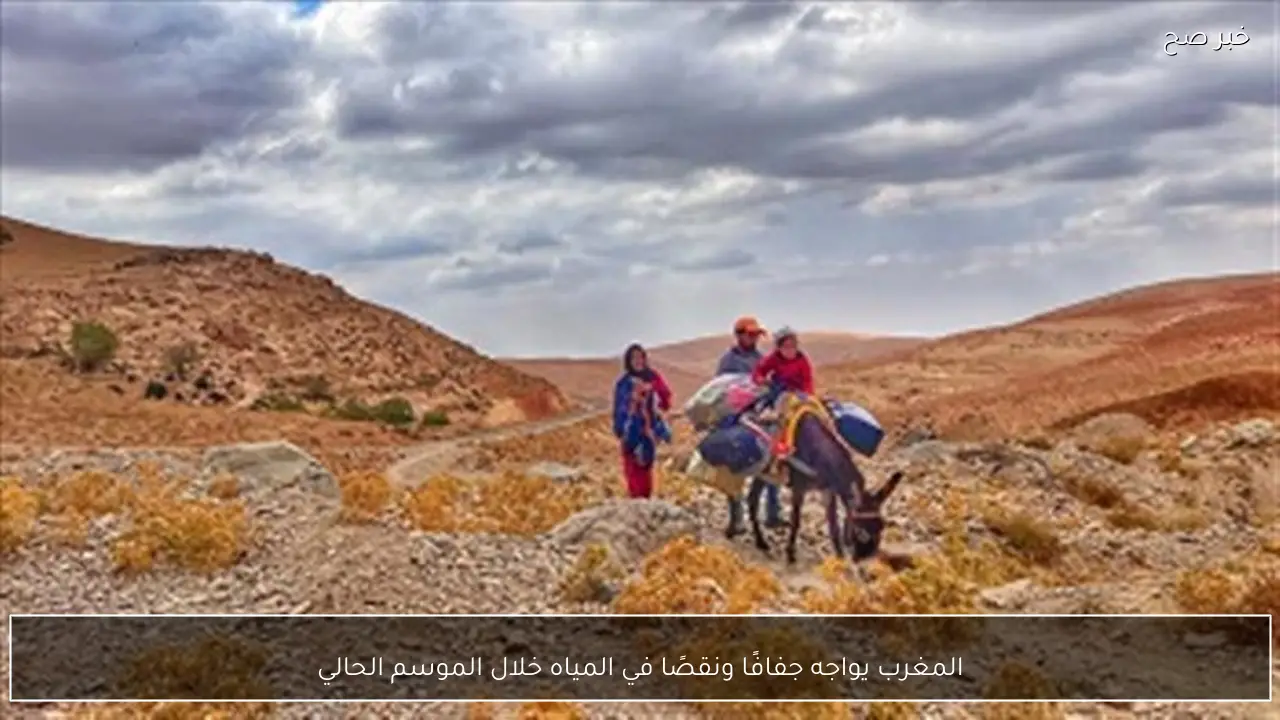 المغرب يواجه جفافًا ونقصًا في المياه خلال الموسم الحالي