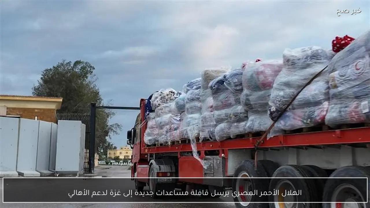 الهلال الأحمر المصري يرسل قافلة مساعدات جديدة إلى غزة لدعم الأهالي
