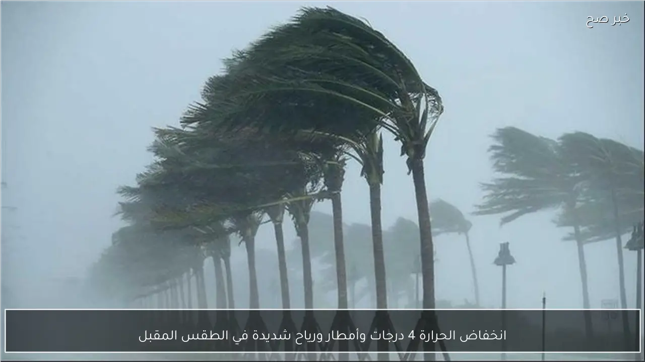 انخفاض الحرارة 4 درجات وأمطار ورياح شديدة في الطقس المقبل