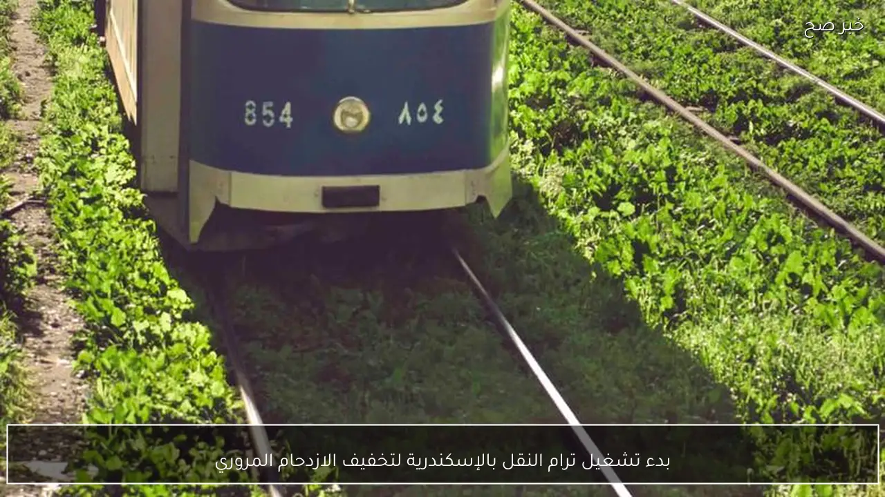 بدء تشغيل ترام النقل بالإسكندرية لتخفيف الازدحام المروري