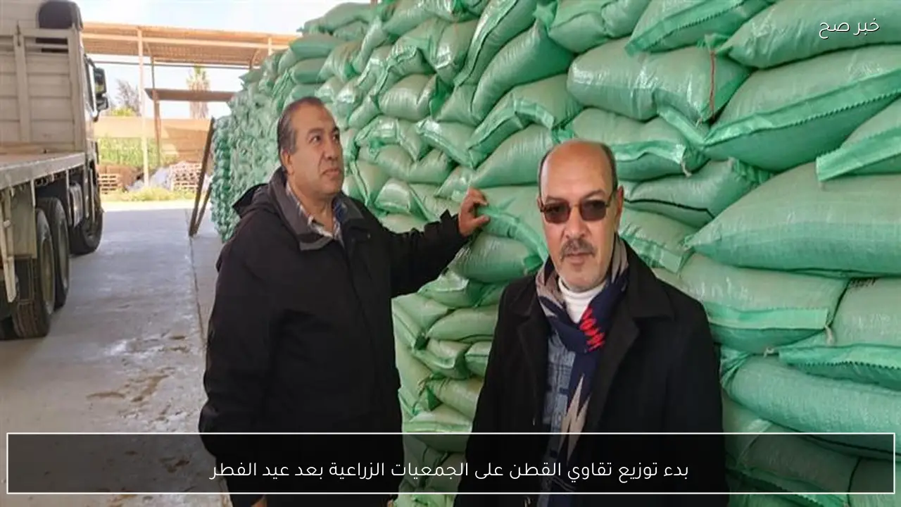 بدء توزيع تقاوي القطن على الجمعيات الزراعية بعد عيد الفطر