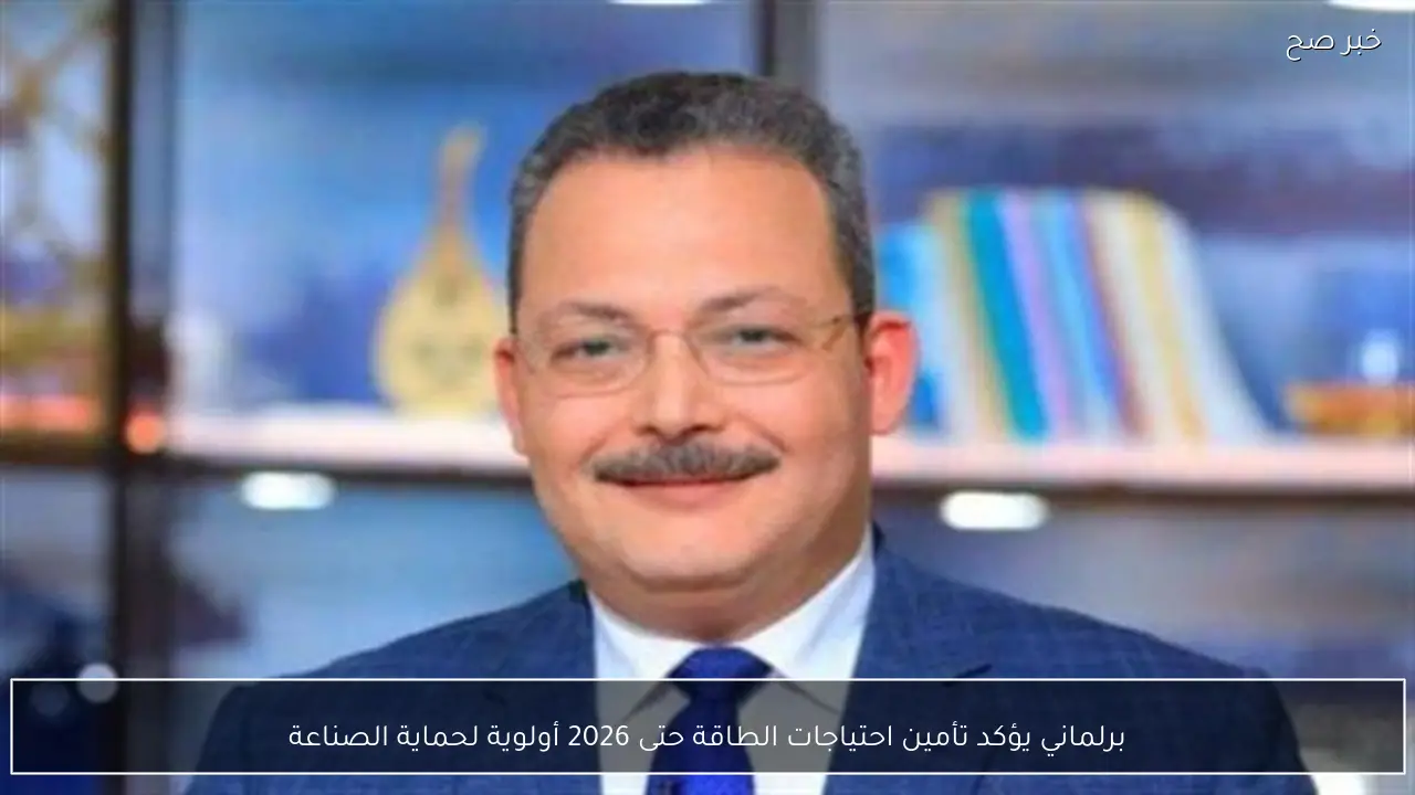 برلماني يؤكد تأمين احتياجات الطاقة حتى 2026 أولوية لحماية الصناعة