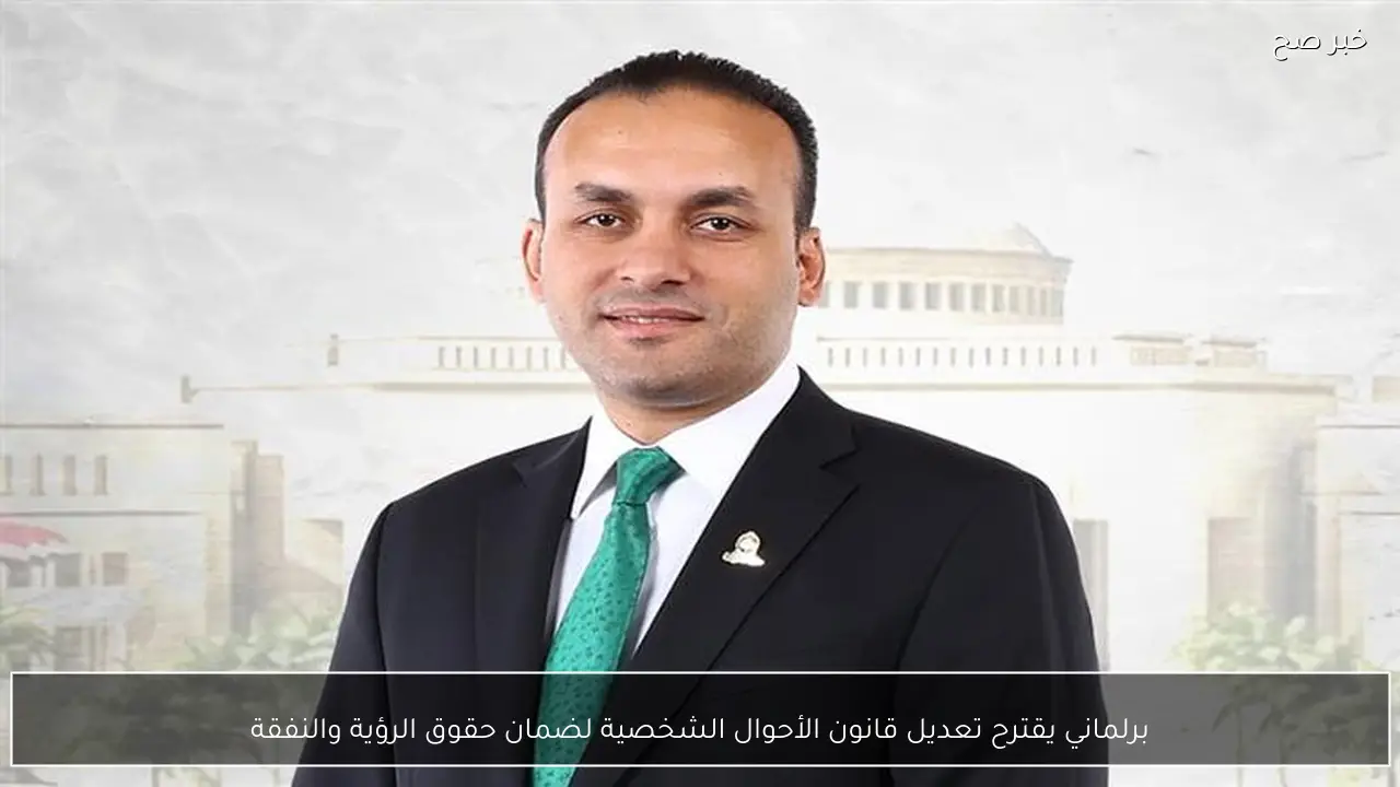 برلماني يقترح تعديل قانون الأحوال الشخصية لضمان حقوق الرؤية والنفقة