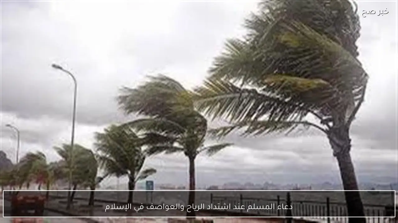 دعاء المسلم عند اشتداد الرياح والعواصف في الإسلام