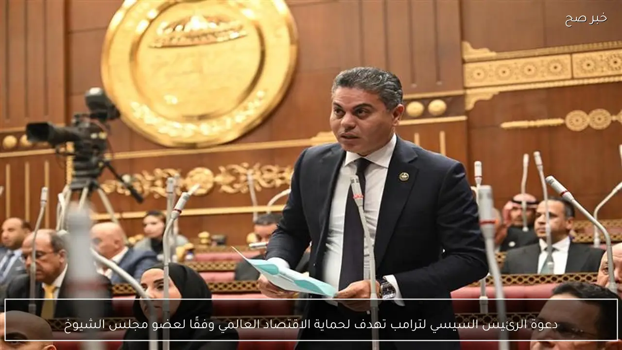 دعوة الرئيس السيسي لترامب تهدف لحماية الاقتصاد العالمي وفقًا لعضو مجلس الشيوخ