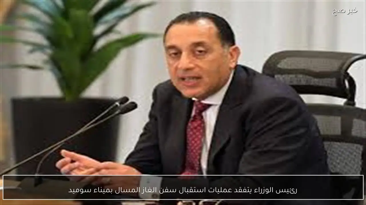 رئيس الوزراء يتفقد عمليات استقبال سفن الغاز المسال بميناء سوميد