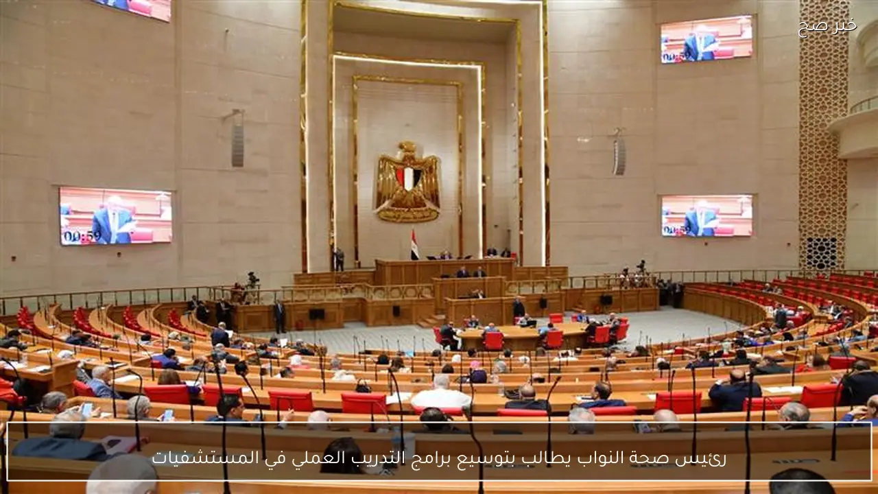 رئيس صحة النواب يطالب بتوسيع برامج التدريب العملي في المستشفيات