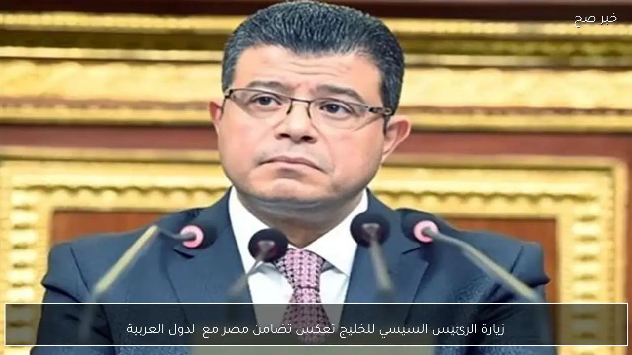 زيارة الرئيس السيسي للخليج تعكس تضامن مصر مع الدول العربية