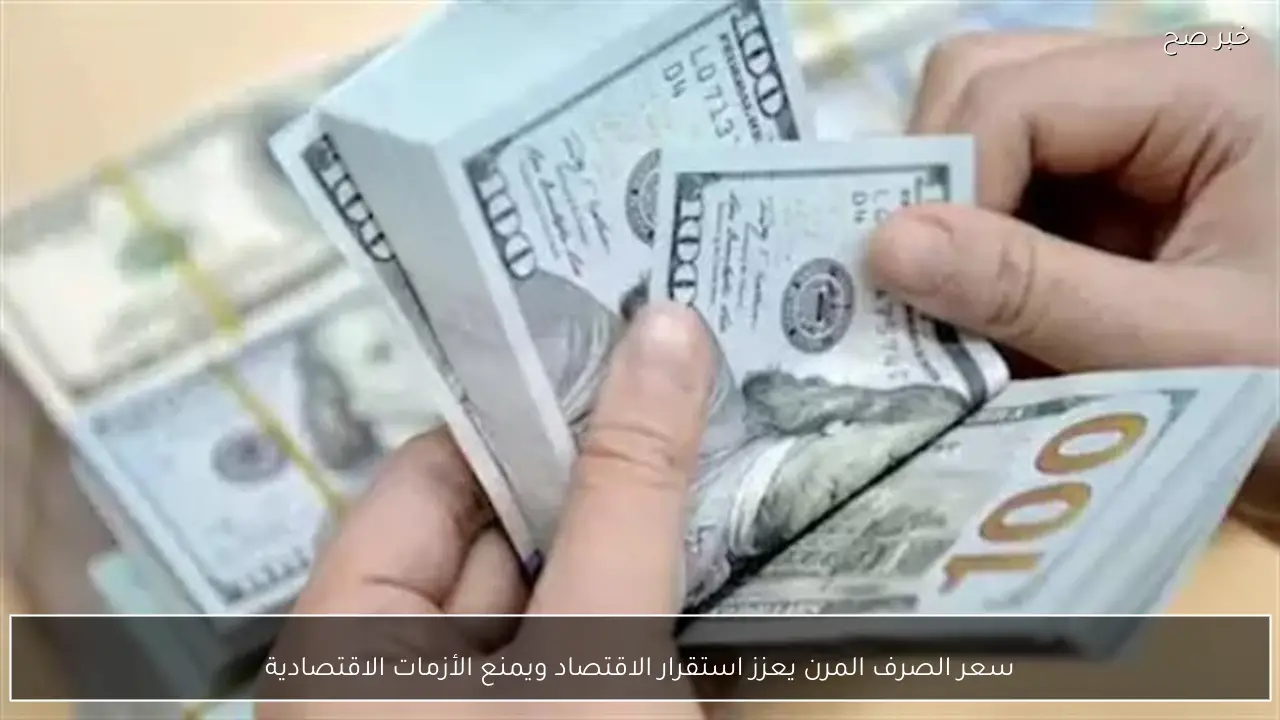 سعر الصرف المرن يعزز استقرار الاقتصاد ويمنع الأزمات الاقتصادية