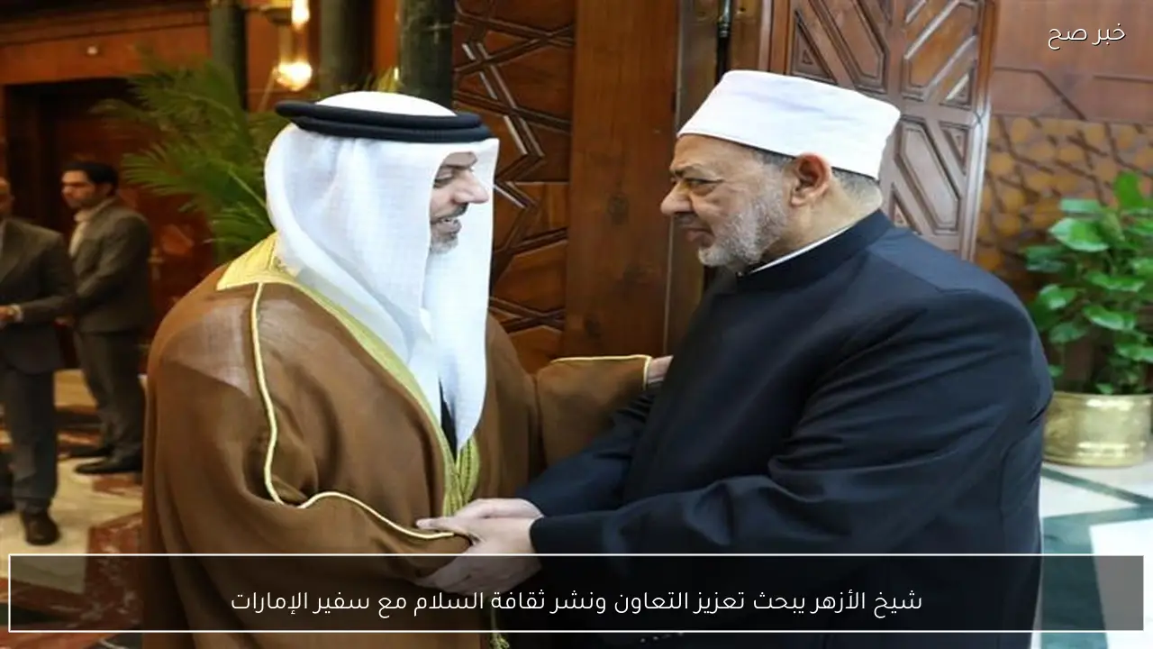 شيخ الأزهر يبحث تعزيز التعاون ونشر ثقافة السلام مع سفير الإمارات