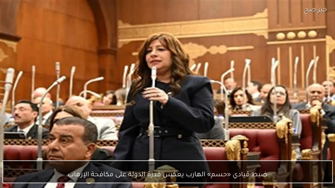 ضبط قيادي «حسم» الهارب يعكس قدرة الدولة على مكافحة الإرهاب