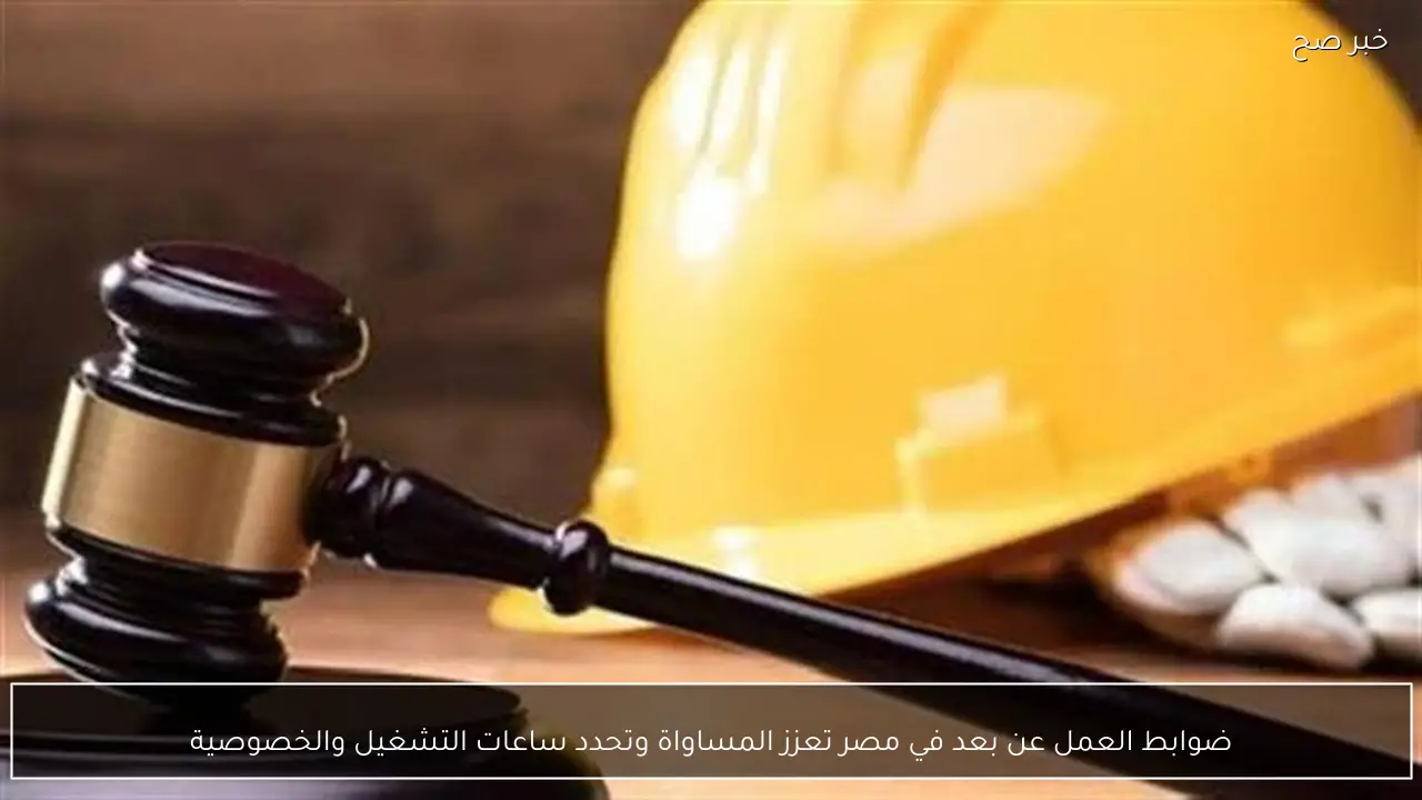 ضوابط العمل عن بعد في مصر تعزز المساواة وتحدد ساعات التشغيل والخصوصية