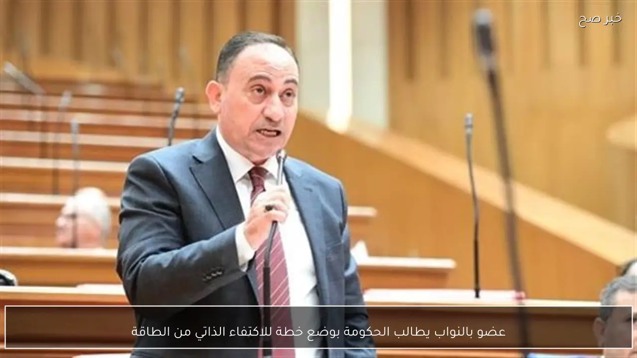 عضو بالنواب يطالب الحكومة بوضع خطة للاكتفاء الذاتي من الطاقة