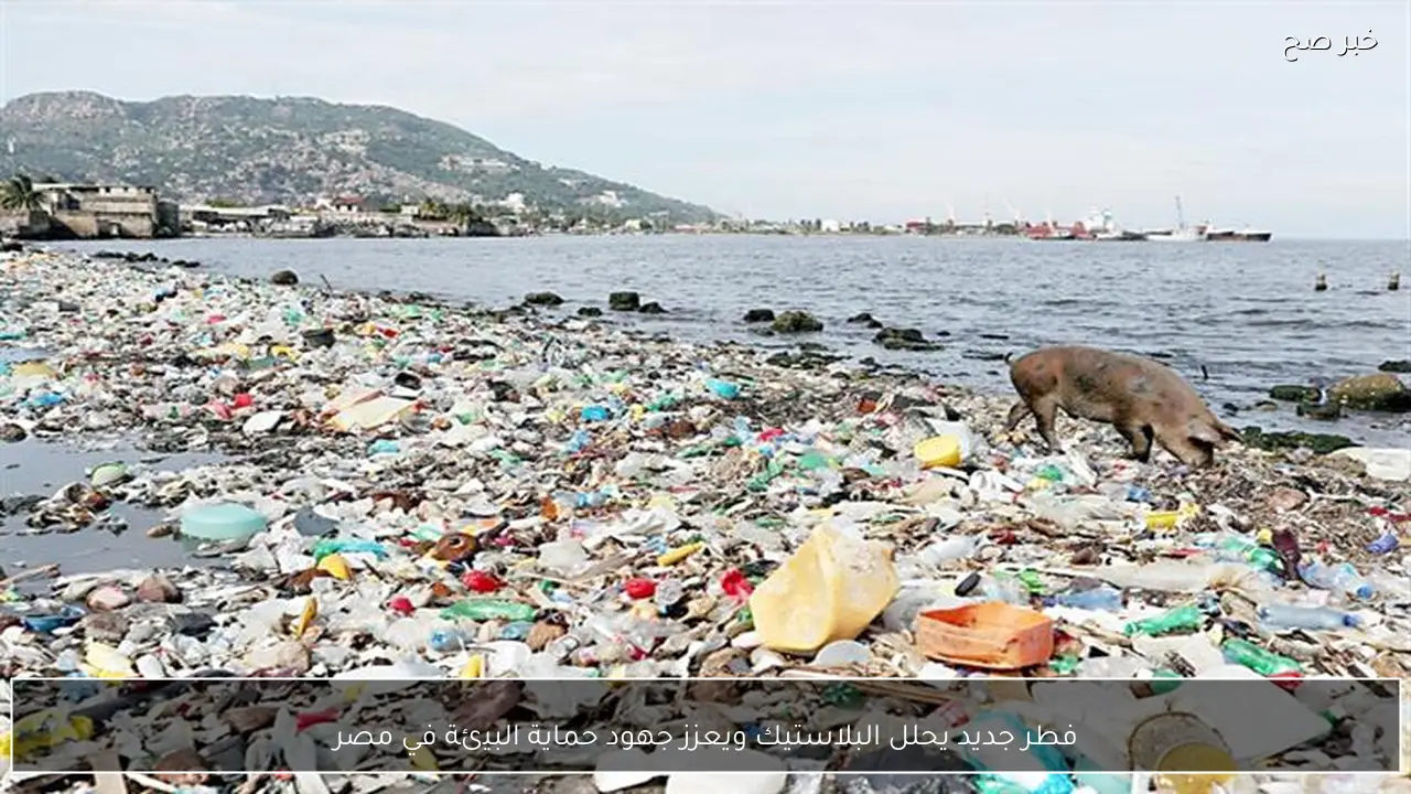 فطر جديد يحلل البلاستيك ويعزز جهود حماية البيئة في مصر
