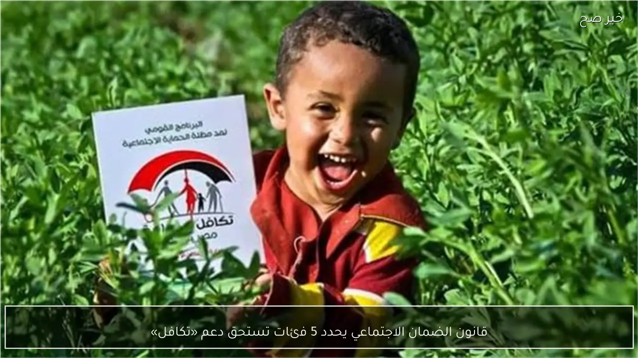 قانون الضمان الاجتماعي يحدد 5 فئات تستحق دعم «تكافل»