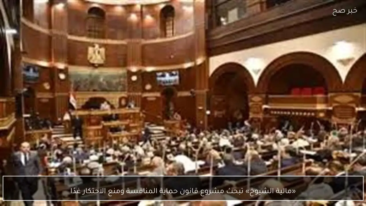 «مالية الشيوخ» تبحث مشروع قانون حماية المنافسة ومنع الاحتكار غدًا