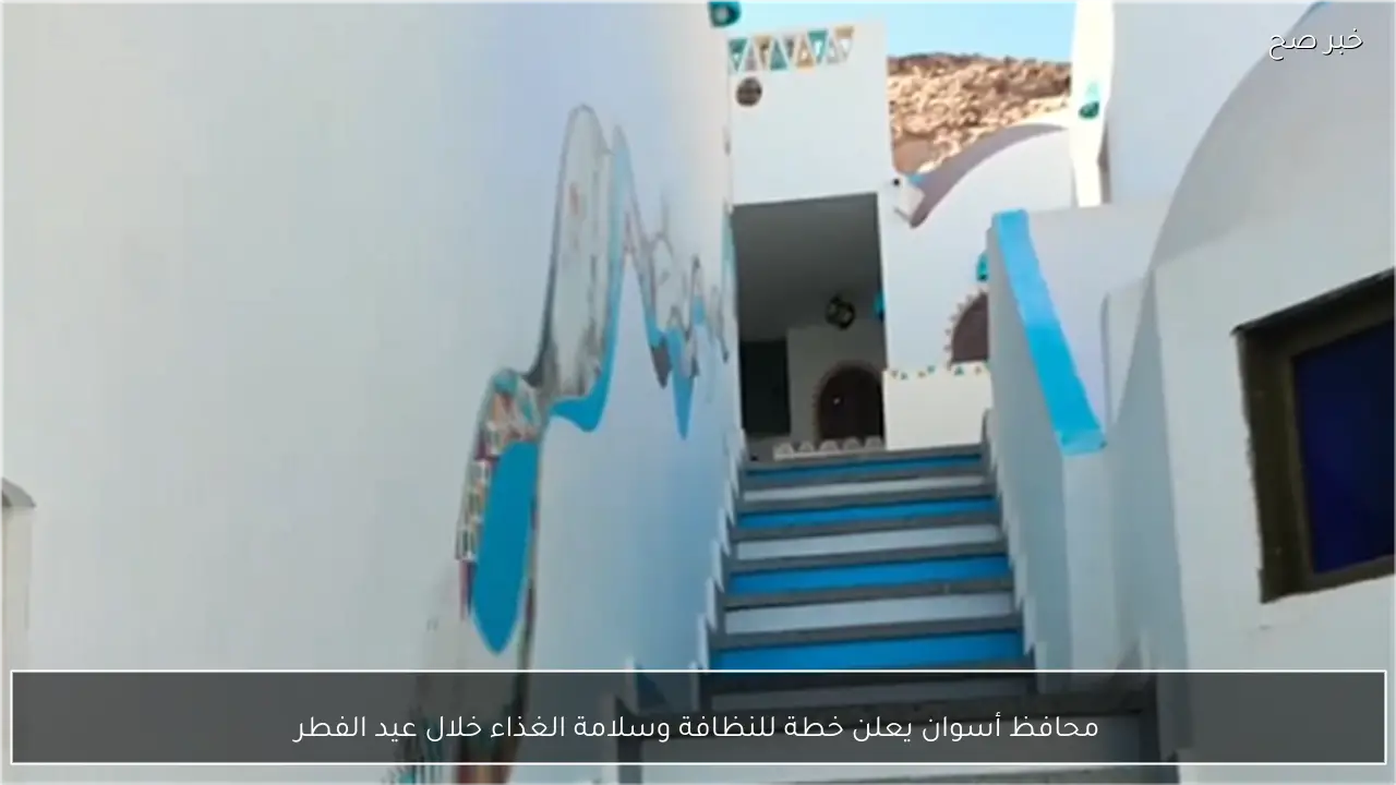 محافظ أسوان يعلن خطة للنظافة وسلامة الغذاء خلال عيد الفطر