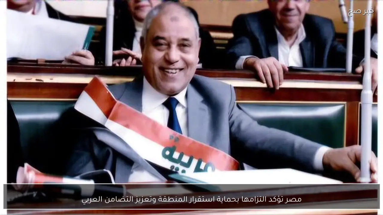 مصر تؤكد التزامها بحماية استقرار المنطقة وتعزيز التضامن العربي