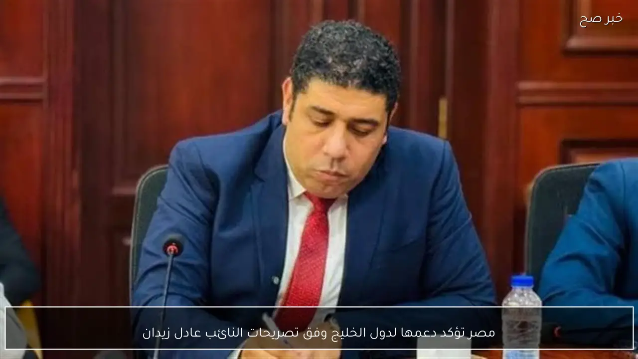 مصر تؤكد دعمها لدول الخليج وفق تصريحات النائب عادل زيدان