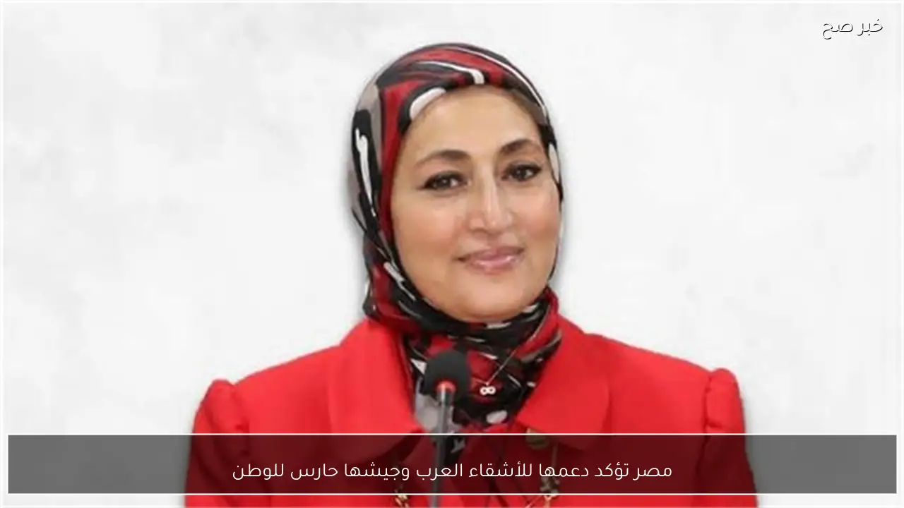 مصر تؤكد دعمها للأشقاء العرب وجيشها حارس للوطن