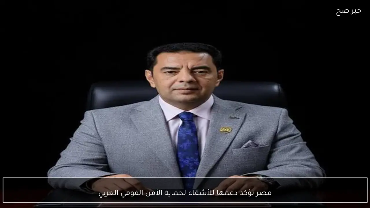 مصر تؤكد دعمها للأشقاء لحماية الأمن القومي العربي