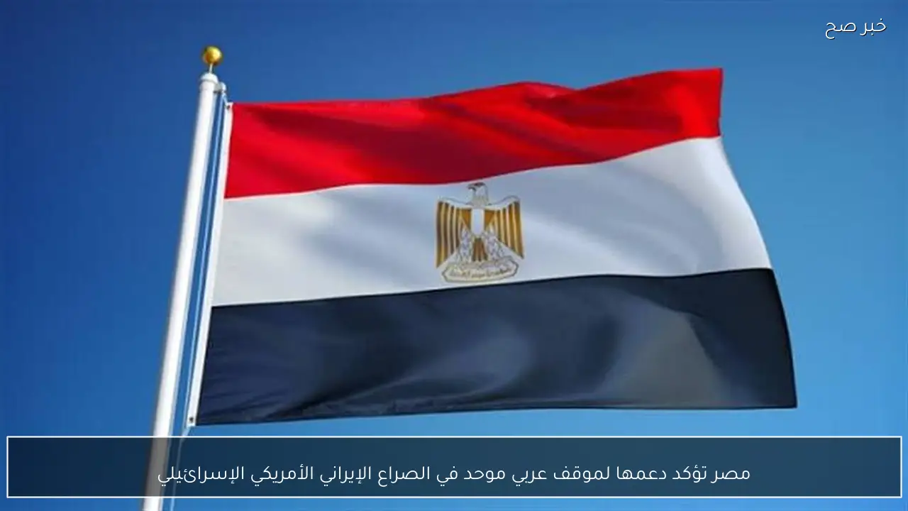 مصر تؤكد دعمها لموقف عربي موحد في الصراع الإيراني الأمريكي الإسرائيلي