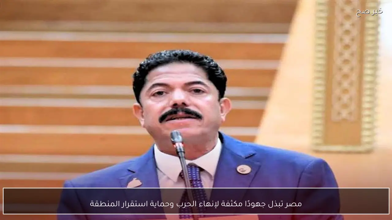 مصر تبذل جهودًا مكثفة لإنهاء الحرب وحماية استقرار المنطقة