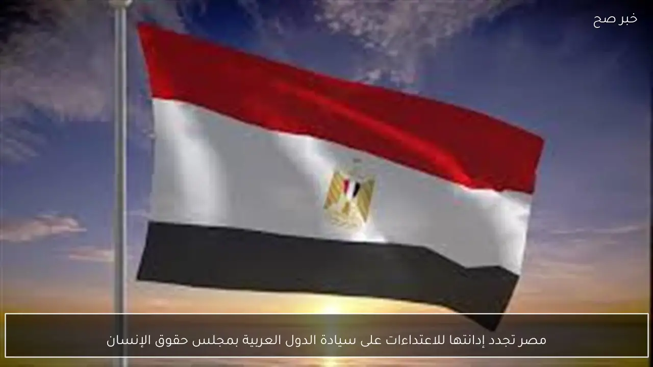 مصر تجدد إدانتها للاعتداءات على سيادة الدول العربية بمجلس حقوق الإنسان