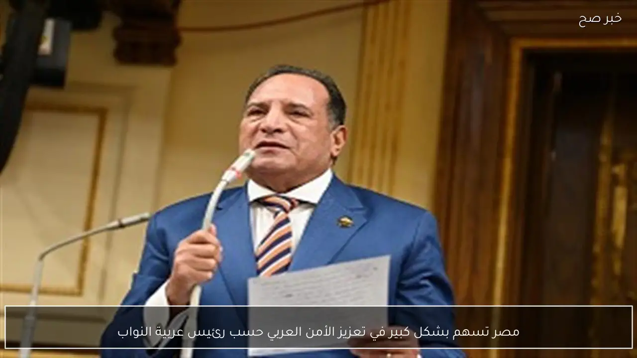 مصر تسهم بشكل كبير في تعزيز الأمن العربي حسب رئيس عربية النواب