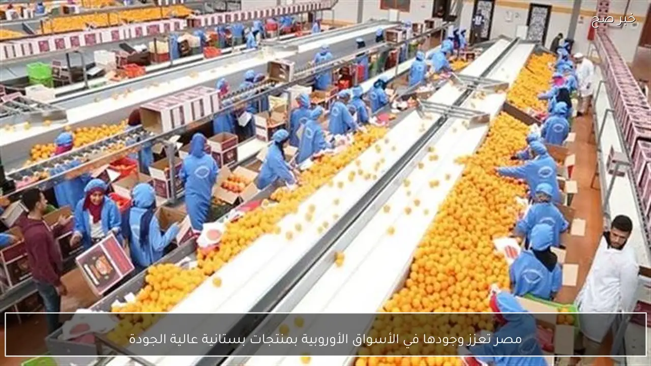 مصر تعزز وجودها في الأسواق الأوروبية بمنتجات بستانية عالية الجودة